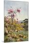 Judas Tree in Flower-Agnes Goodall-Mounted Art Print