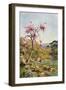 Judas Tree in Flower-Agnes Goodall-Framed Art Print