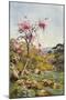 Judas Tree in Flower-Agnes Goodall-Mounted Art Print