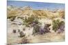 Judean desert in the Holy Land c1910-Harold Copping-Mounted Giclee Print