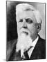Judge Isaac C Parker, the 'Hanging Judge, in His Later Years, C1890S-null-Mounted Giclee Print