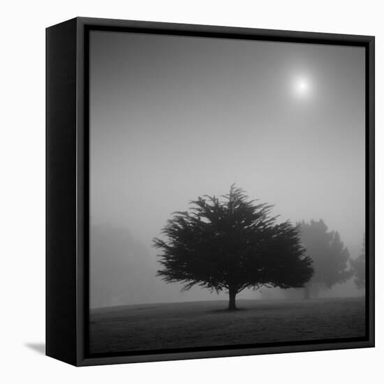 Judge-Moises Levy-Framed Stretched Canvas