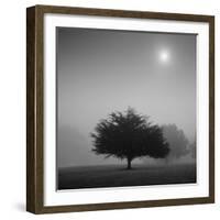 Judge-Moises Levy-Framed Photographic Print