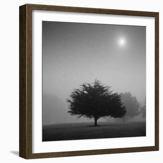 Judge-Moises Levy-Framed Photographic Print