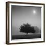 Judge-Moises Levy-Framed Photographic Print