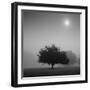 Judge-Moises Levy-Framed Photographic Print