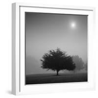 Judge-Moises Levy-Framed Photographic Print