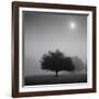 Judge-Moises Levy-Framed Photographic Print