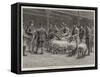 Judging Sheep at a Cattle Show-Frank Dadd-Framed Stretched Canvas