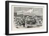 Judging the Cattle at the Plymouth Agricultural Show, UK, 1865-null-Framed Giclee Print
