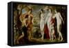 Judgment of Paris of 1639-Peter Paul Rubens-Framed Stretched Canvas