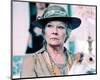 Judi Dench-null-Mounted Photo