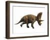 Judiceratops Tigris, Late Cretaceous of Montana, Usa-null-Framed Art Print