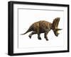 Judiceratops Tigris, Late Cretaceous of Montana, Usa-null-Framed Art Print