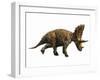 Judiceratops Tigris, Late Cretaceous of Montana, Usa-null-Framed Art Print