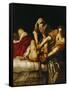 Judith and Holofernes, Around 1620-Artemisia Gentileschi-Framed Stretched Canvas