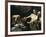 Judith and Holofernes-Caravaggio-Framed Art Print