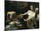 Judith and Holofernes-Caravaggio-Mounted Art Print