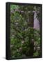 Essential Black