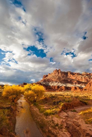 Premium Photographic Print, , large