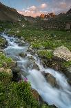 Colorado, Rocky Mountain Sunset in American Basin with Stream and Alpine Wildflowers-Judith Zimmerman-Photographic Print