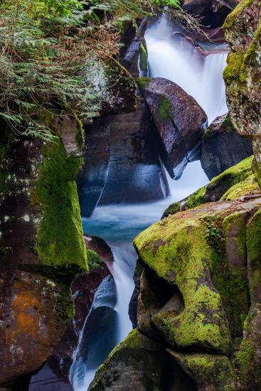 Premium Photographic Print, , large
