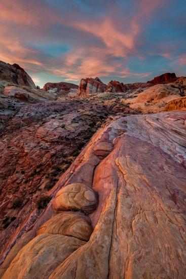 Premium Photographic Print, , large