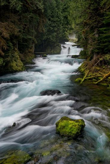 Premium Photographic Print, , large