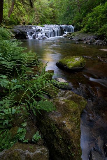 Premium Photographic Print, , large