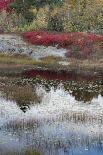 USA, Maine. New Mills Meadow Pond, Acadia National Park.-Judith Zimmerman-Photographic Print