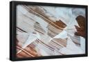 Essential Black