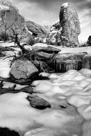 Premium Photographic Print, , large