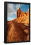 Essential Black