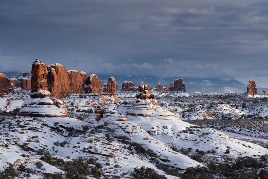 Premium Photographic Print, , large