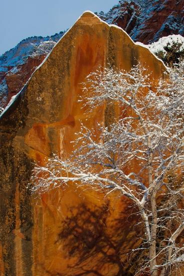 Premium Photographic Print, , large
