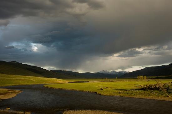 Premium Photographic Print, , large