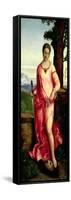 Judith-Giorgione-Framed Stretched Canvas