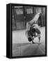 Judo Practice in Japan-Larry Burrows-Framed Stretched Canvas