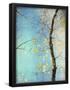 Essential Black