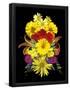 Essential Black