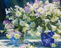 Flowers in Radiance-Judy Talacko-Framed Giclee Print