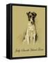 Judy The Smooth Haired Terrier-Lucy Dawson-Framed Stretched Canvas