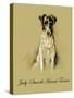 Judy The Smooth Haired Terrier-Lucy Dawson-Stretched Canvas