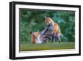 Black Frame