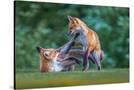 Stretched Canvas