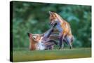 Stretched Canvas