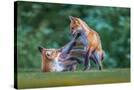 Stretched Canvas