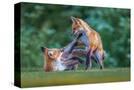 Stretched Canvas
