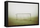 Framed Canvas