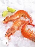 Two Cooked Lobsters on Ice-Jürgen Holz-Mounted Photographic Print